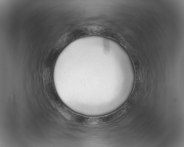 X0000080780711200701051328