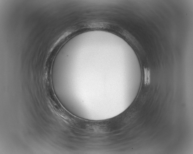 X0000080780723200701051327