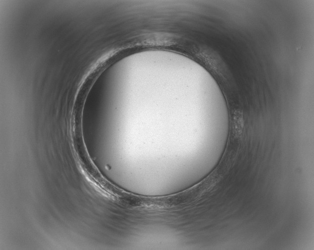 X0000080780726200701051327