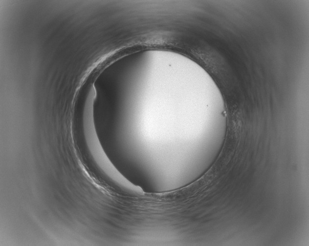 X0000080780728200701051327