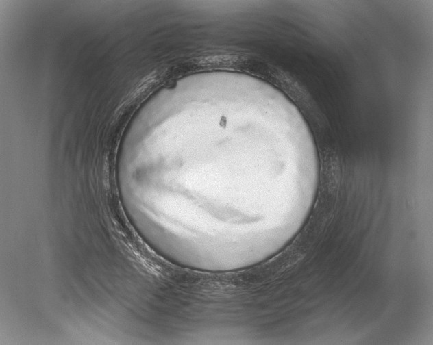 X0000080780729200701051327