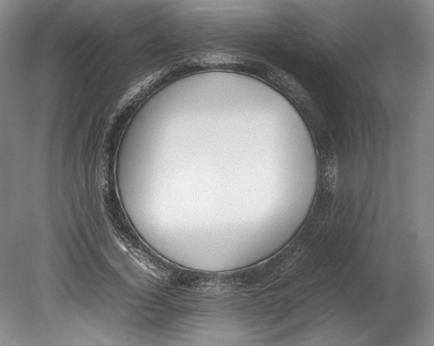 X0000080780732200701051327
