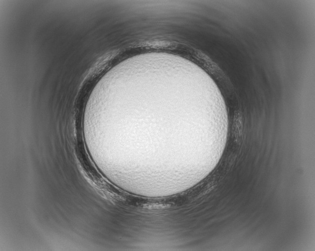 X0000080780734200701051327