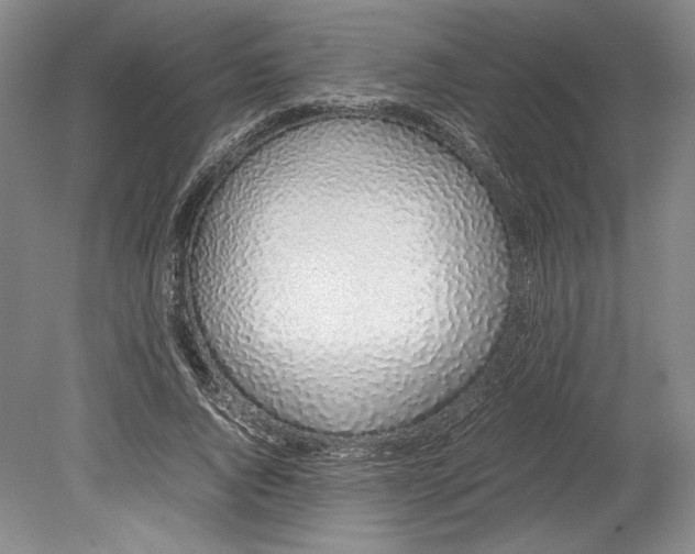 X0000080780736200701051327