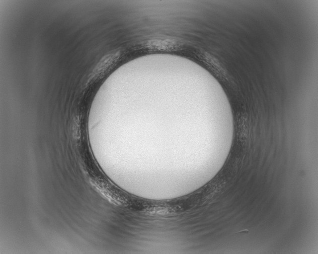 X0000080780738200701051327