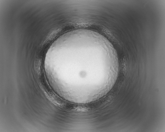 X0000080780742200701051327