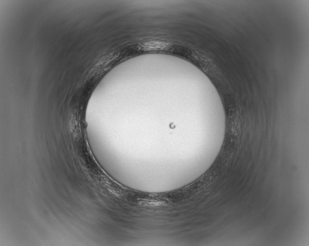 X0000080780743200701051327
