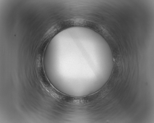 X0000080780744200701051327