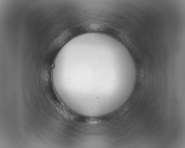X0000080780746200701051327