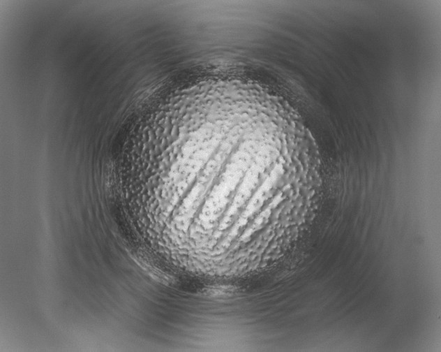 X0000080780748200701051327