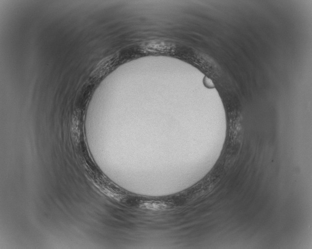 X0000080780749200701051327