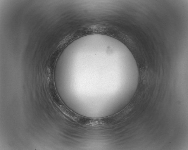 X0000080780752200701051327