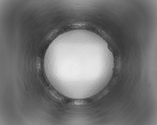 X0000080780758200701051327