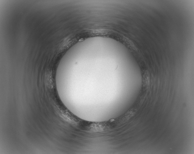 X0000080780764200701051327