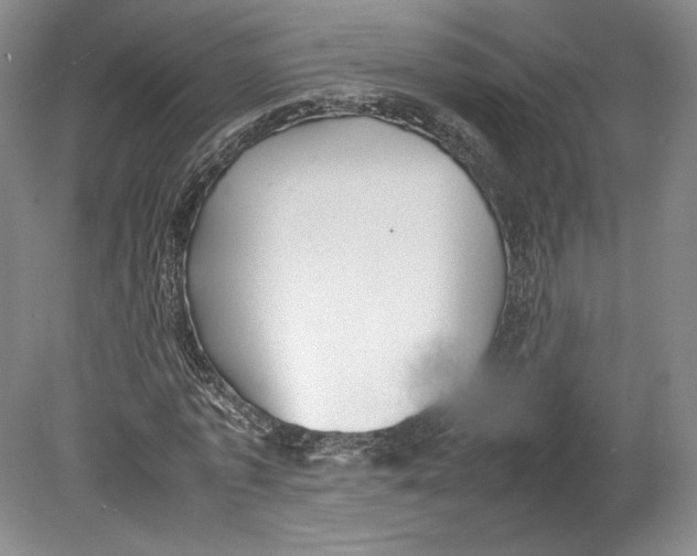 X0000080780773200701051326