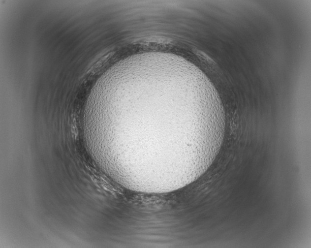 X0000080780774200701051326