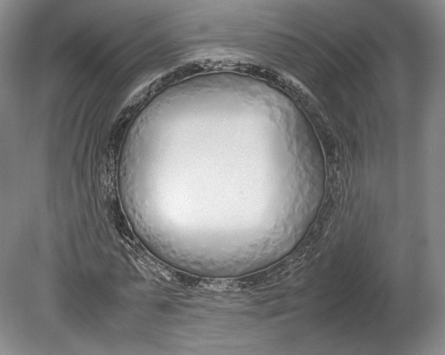 X0000080780775200701051326