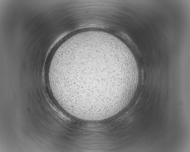 X0000080780780200701051326