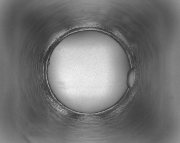 X0000080780781200701051326