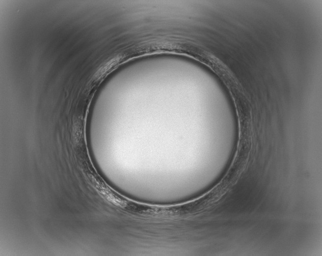X0000080780785200701051326