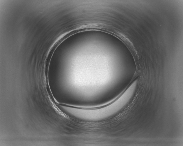 X0000080780792200701051326