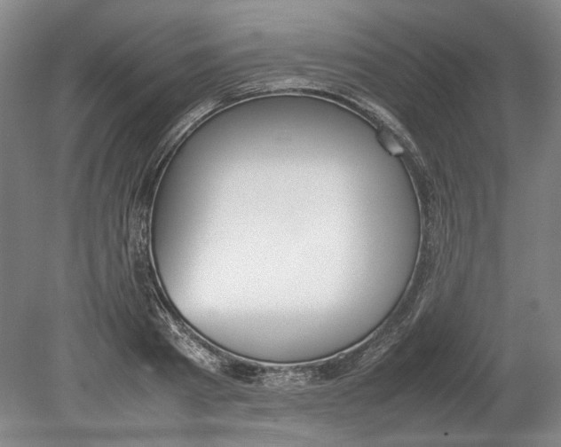 X0000080780793200701051326