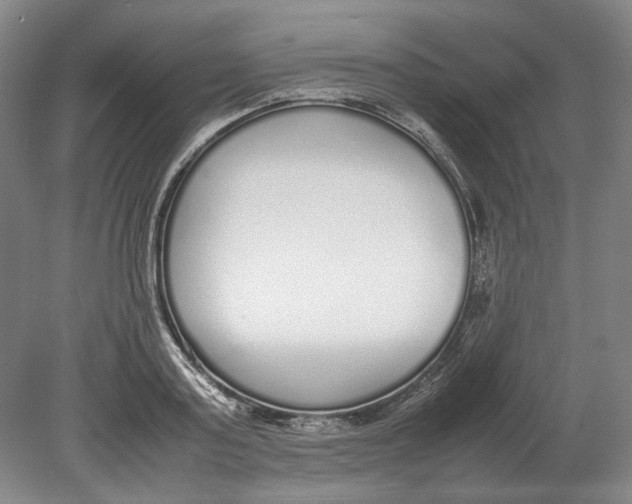 X0000080780795200701051326