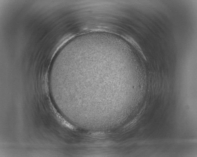 X0000080780798200701051326