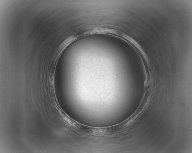 X0000080780809200701051326