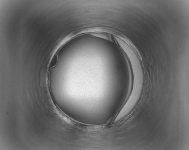 X0000080780813200701051326