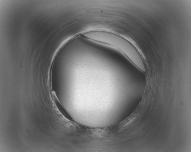 X0000080780815200701051326