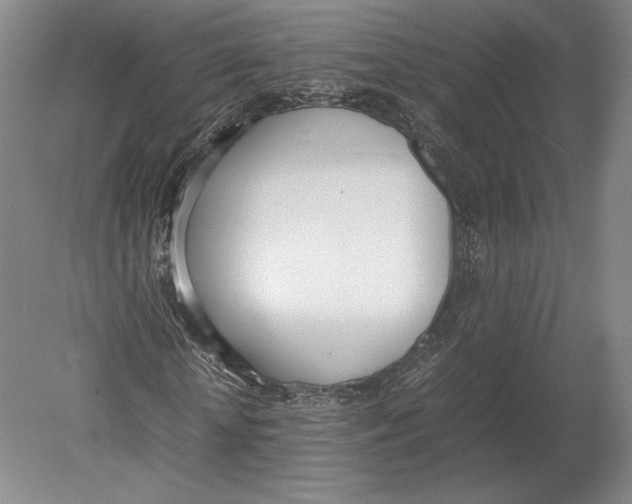 X0000080780818200701051325