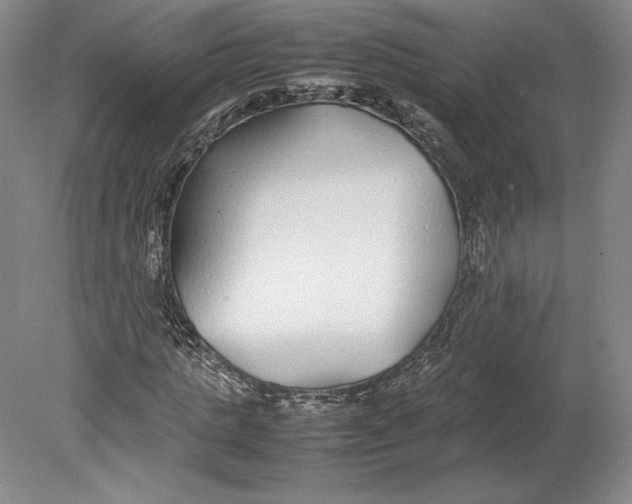 X0000080780821200701051325