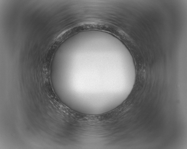 X0000080780822200701051325