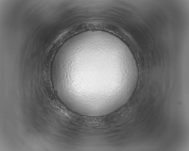 X0000080780823200701051325