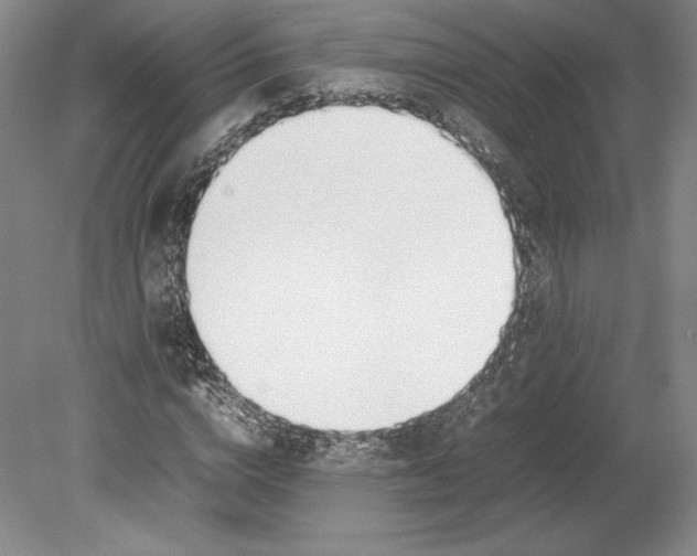 X0000080780824200701051325