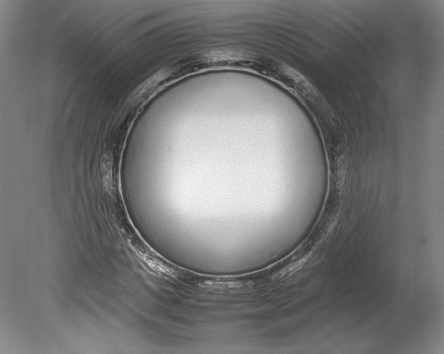 X0000080780825200701051325