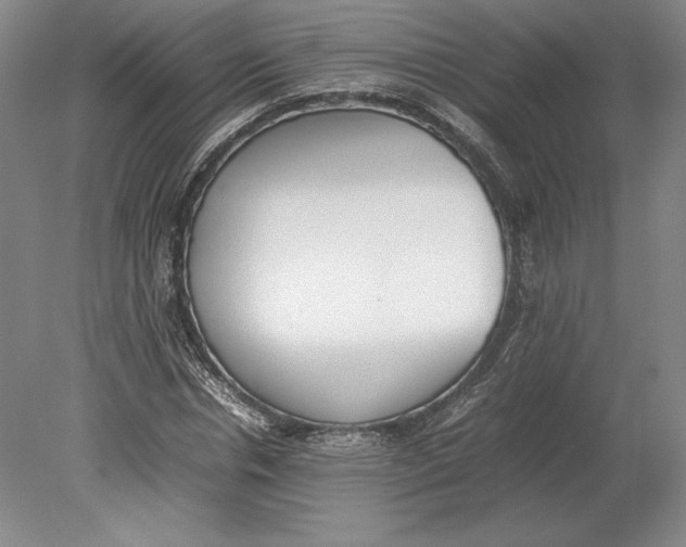 X0000080780826200701051325