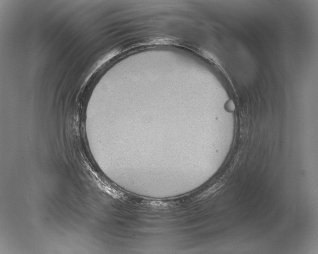 X0000080780827200701051325