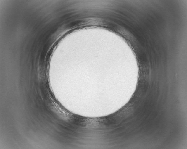 X0000080780828200701051325