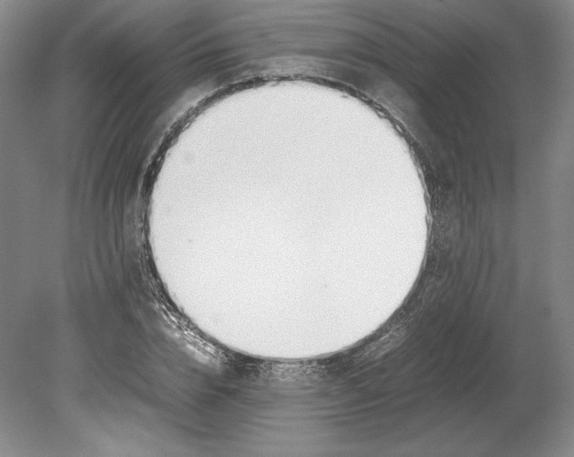 X0000080780832200701051325