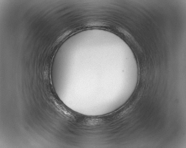 X0000080780833200701051325