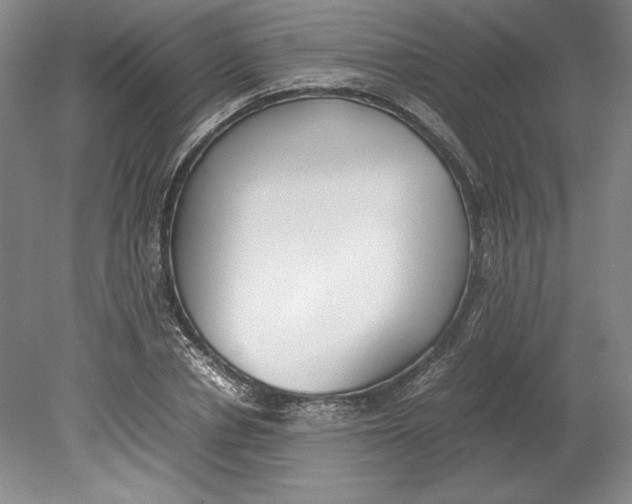 X0000080780834200701051325