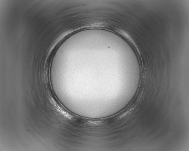 X0000080780835200701051325