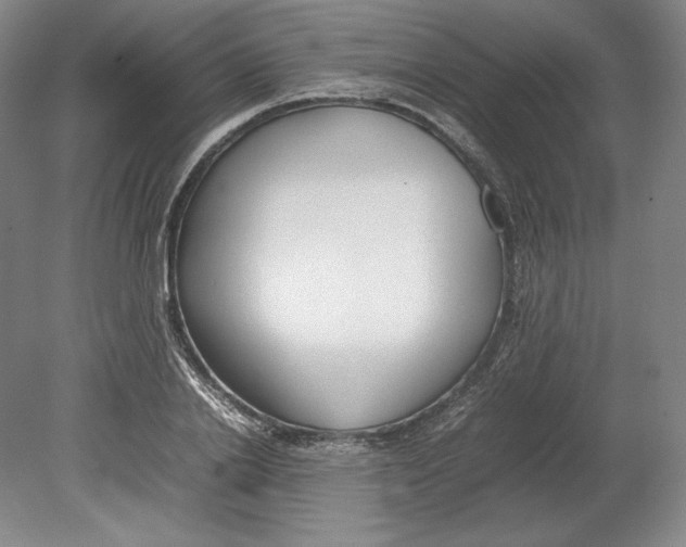 X0000080780838200701051325