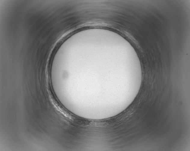 X0000080780840200701051325
