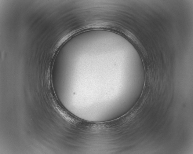 X0000080780842200701051325