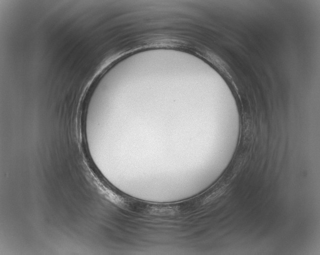 X0000080780843200701051325