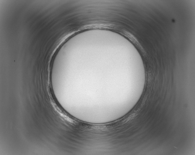 X0000080780844200701051325