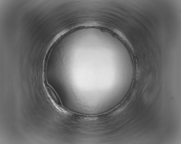 X0000080780845200701051325
